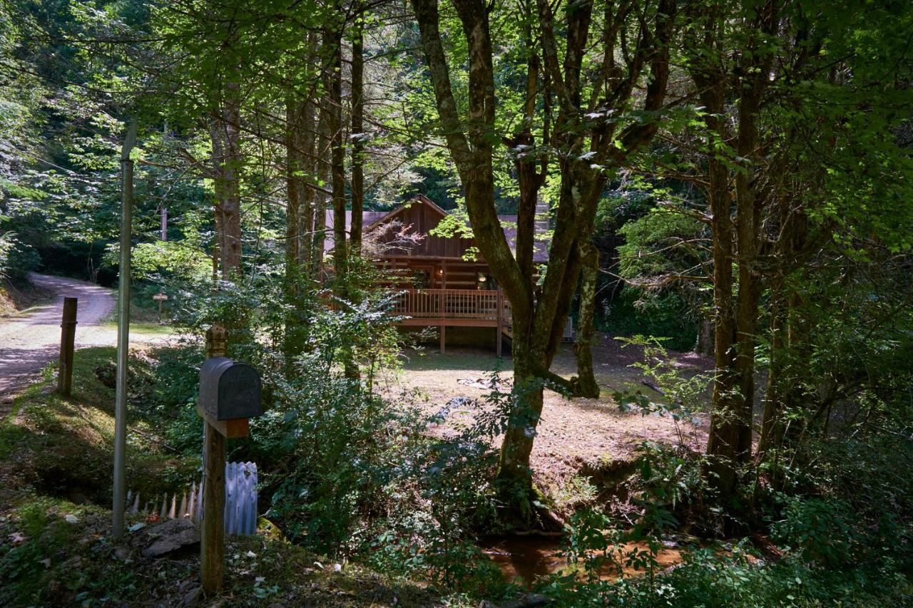 A Cabin In The Woods Pigeon Forge Eksteriør bilde
